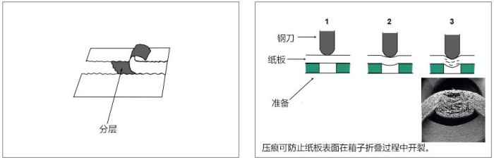 圖片5.jpg